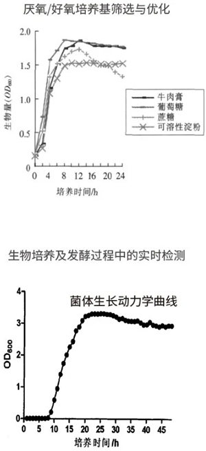 過程安全，結果精準